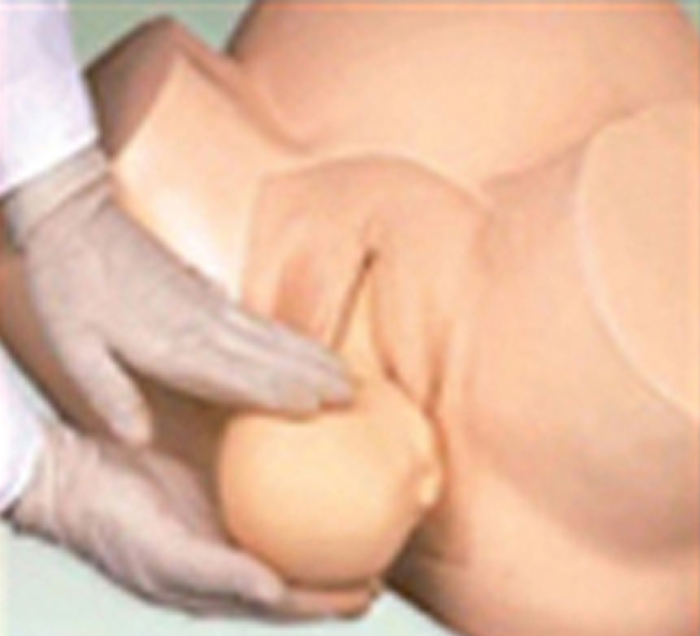 Modèle simulateur d'accouchement pour sage femme 3