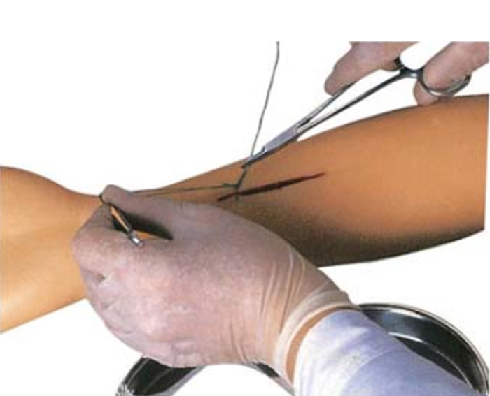 Modèle bras pratique pour suture 3
