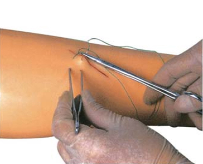 Modèle bras pratique pour suture 2
