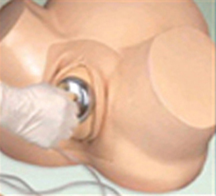 Modèle simulateur d'accouchement pour sage femme 2