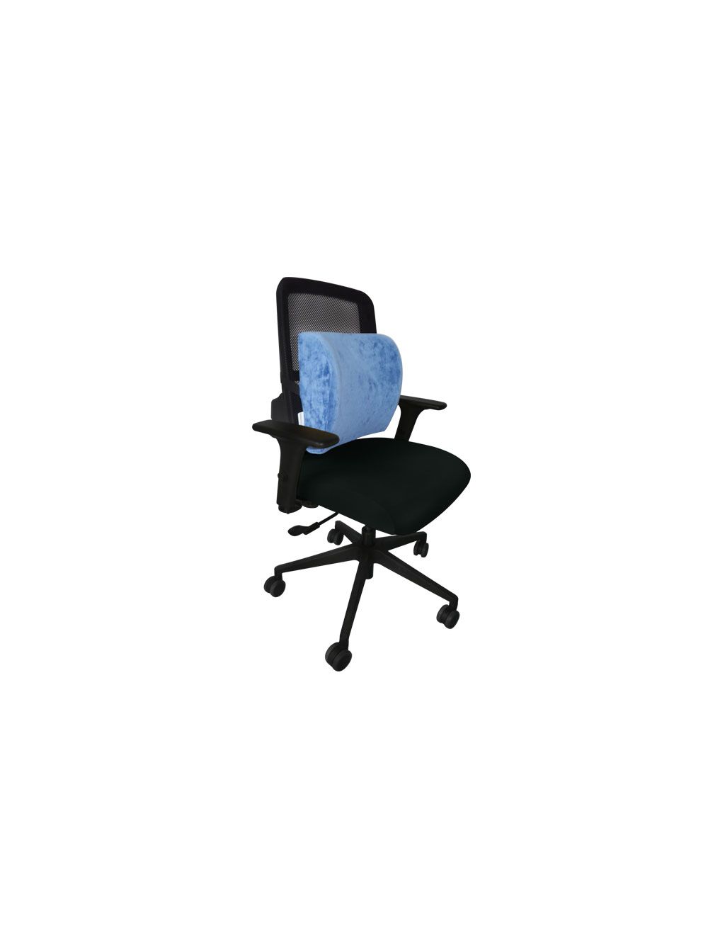 Coussin support lombaire 2