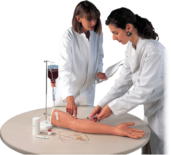 Modèle bras d'injection intraveineuse 2